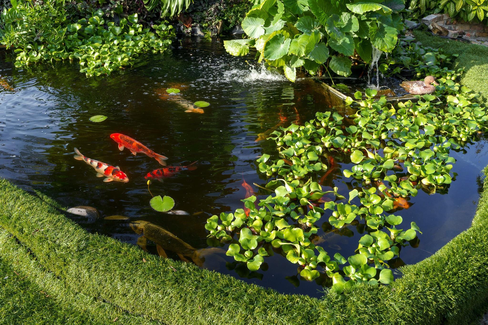 5973 SW 54th Court, Davie, FL 33314 - Photo 5