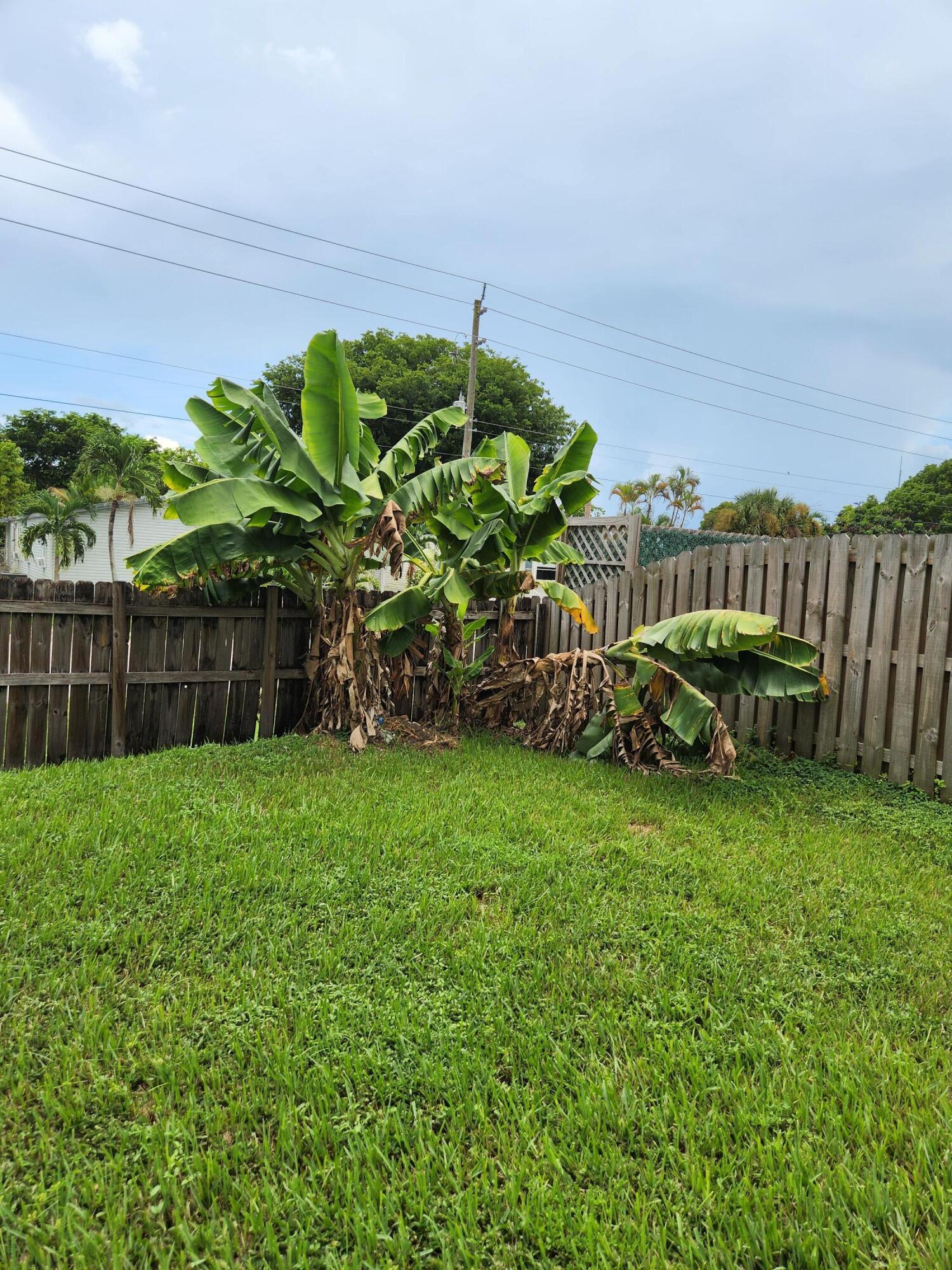 1000 SW 133RD Terrace, Davie, FL 33325, Davie